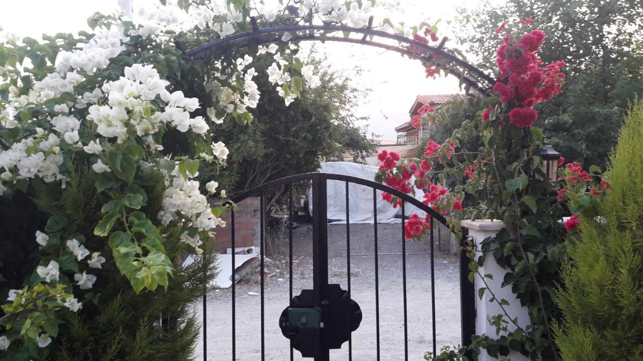 Villa Ebrar Dalyan Muğla Esterno foto