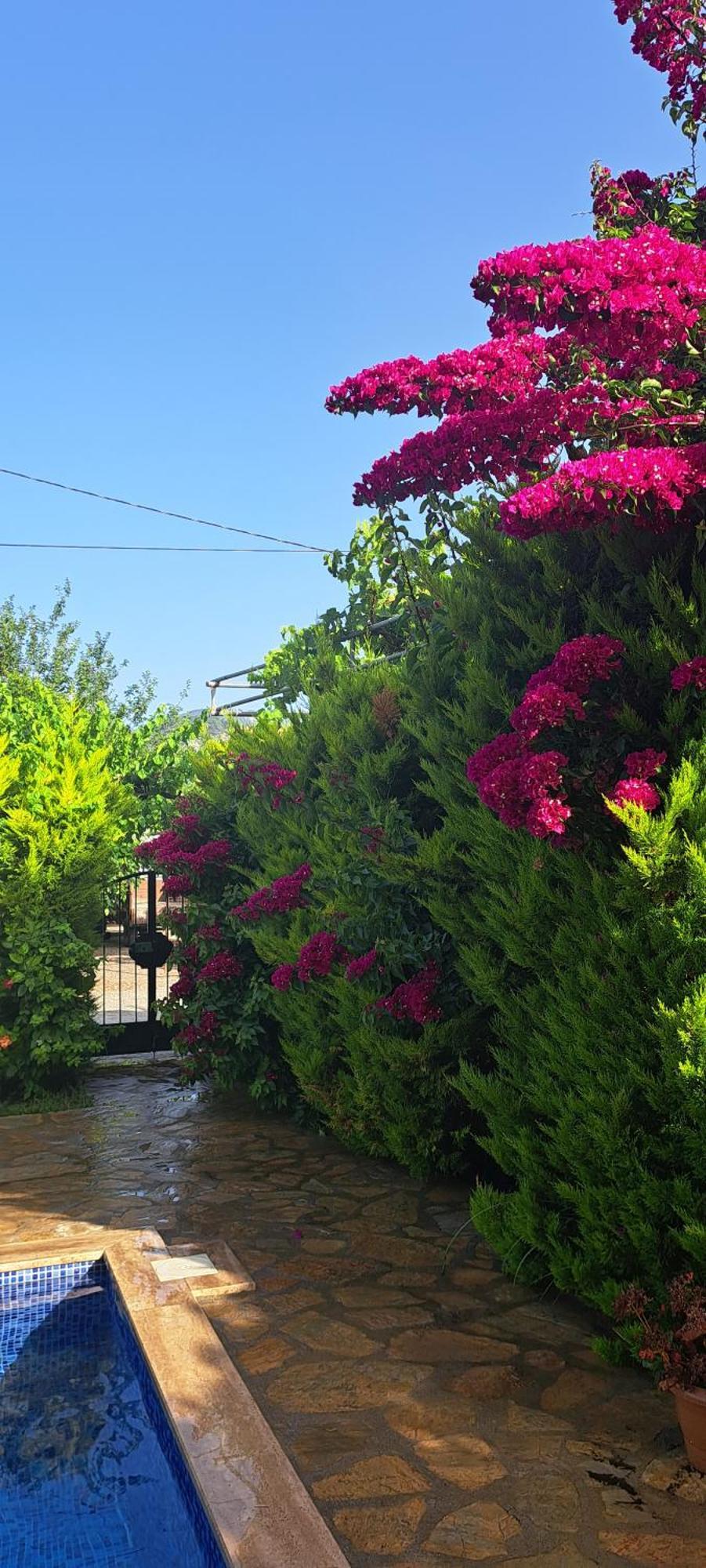 Villa Ebrar Dalyan Muğla Esterno foto